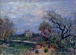 Border of the Woods Border of the Woods