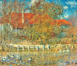 Dammen med ankor på hösten Dammen med ankor på hösten