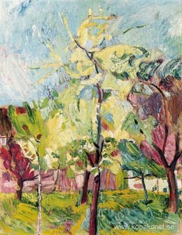 Blommande träd Blommande träd