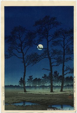 Vintermåne över Toyamaslätten Vintermåne över Toyamaslätten