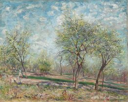 Äppelträd i blom Äppelträd i blom