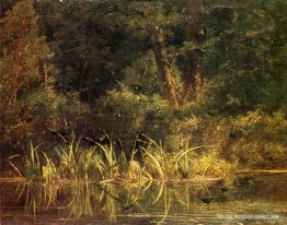 Flodscen med ladugårdssvalor Flodscen med ladugårdssvalor