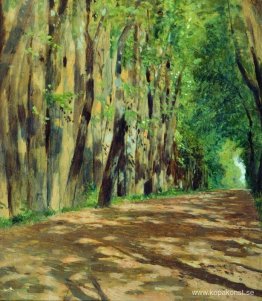 Parkway Parkway
