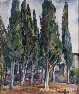 Krim. Cypress. Krim. Cypress.