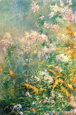 Ängsblommor (Golden Rod och Wild Aster) Ängsblommor (Golden Rod och Wild Aster)