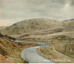 Ladhope hill, Yarrow Ladhope hill, Yarrow