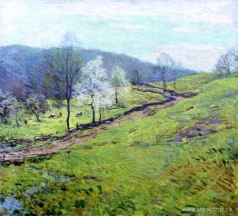 maj eftermiddag maj eftermiddag