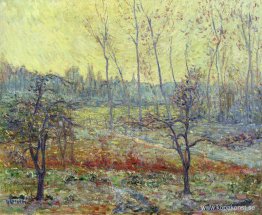 Landskap på vintern med dimma Landskap på vintern med dimma