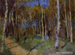 Fjädra. Martyshkino Fjädra. Martyshkino