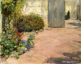 Sommarhus trädgård Sommarhus trädgård