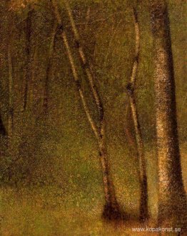 Skogen vid Pontaubert Skogen vid Pontaubert