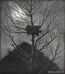 Ödslighet Ödslighet