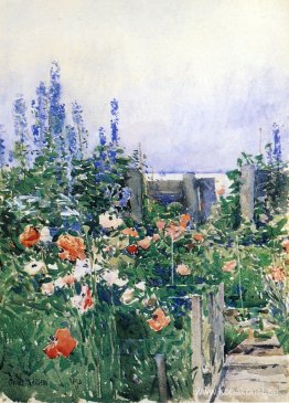 Kolibriens hem Kolibriens hem