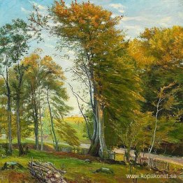 Vägen genom skogen, höst Vägen genom skogen, höst