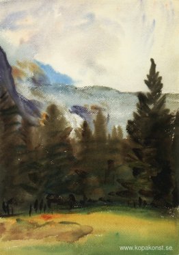 Purtudgranar och snöberg Purtudgranar och snöberg