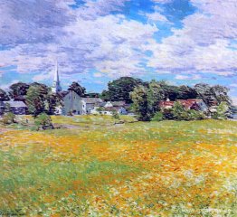 Buttercup Time Buttercup Time