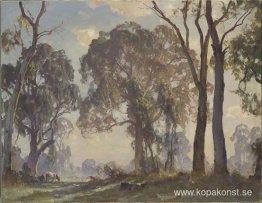 Kanten av gläntan Kanten av gläntan