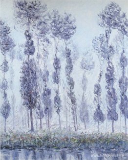 Poplar vid Eurefloden Poplar vid Eurefloden