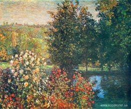 Rosor i Hoshedes trädgård i Montregon Rosor i Hoshedes trädgård i Montregon