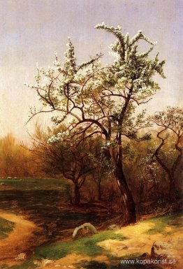 Päron blommar Päron blommar