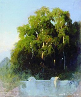 Björklund på kvällen Björklund på kvällen