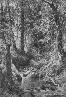 Skogsström Skogsström