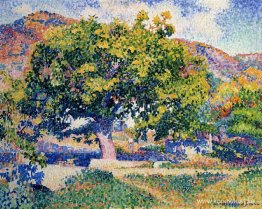 Runt Mitt Hus Runt Mitt Hus