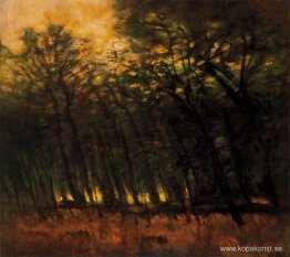 Bränder i skogen Bränder i skogen