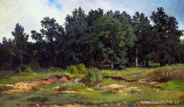 Eklund i en grå dag Eklund i en grå dag