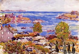 Hus med flagga i viken Hus med flagga i viken