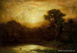 Solnedgång Solnedgång