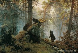 Morgon i en tallskog Morgon i en tallskog