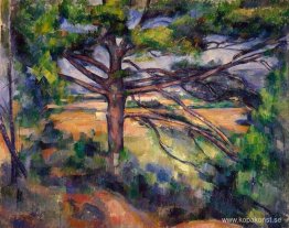 Stor tall och röd jord Stor tall och röd jord