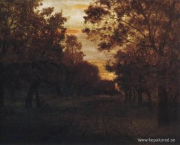 Väg i skogen Väg i skogen