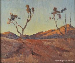 Kvällsljus, Flinders Ranges, SA Kvällsljus, Flinders Ranges, SA