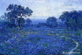 Bluebonnet-scen Bluebonnet-scen