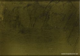 Nära Eromsø, Norge Nära Eromsø, Norge