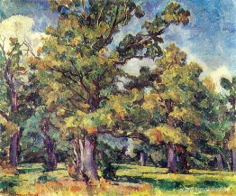 Oak Grove. Upplyst av solen. Oak Grove. Upplyst av solen.