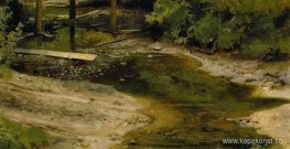 Forest River Forest River