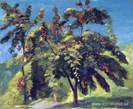 En avkrok av persikoträdgården En avkrok av persikoträdgården