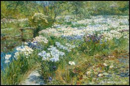 Vattenträdgården Vattenträdgården