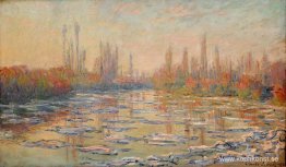 Flytande is på Seine 02 Flytande is på Seine 02