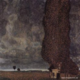 Den stora poppel II Den stora poppel II