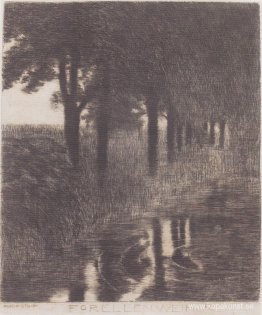 Öringdamm Öringdamm