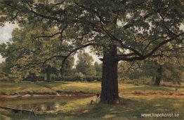 Ekar i Gamla Peterhof Ekar i Gamla Peterhof