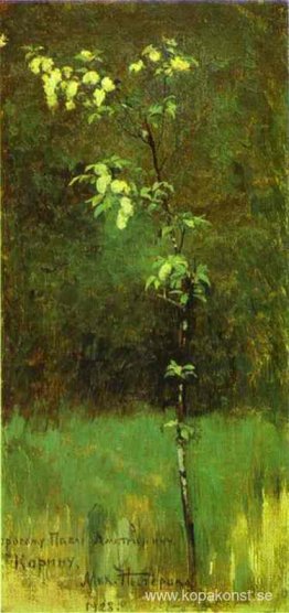 Ett träd i blom Ett träd i blom