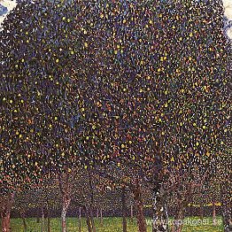 Päronträd Päronträd