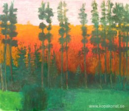 Yellowstone siluett Yellowstone siluett