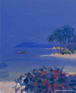 Utanför Coco Beach, Goa Utanför Coco Beach, Goa