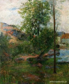 Willow vid Aven Willow vid Aven